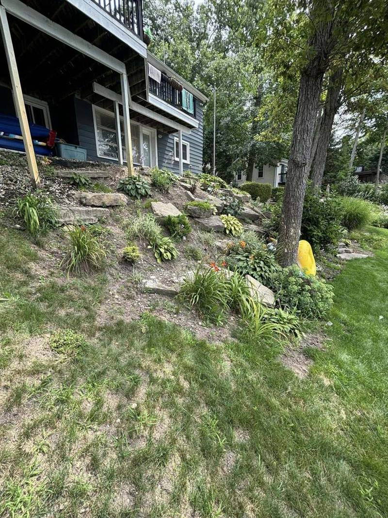 Planted slope under a wooden deck